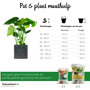 Elho vibes fold rond plantenhulp